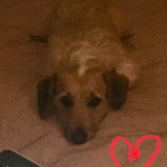 Meet your Posher, Adrianne - Picture 2 of 2